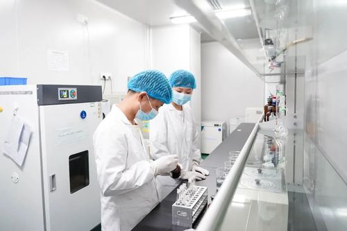 專注醫(yī)療科技前沿，廈門海滄這家企業(yè)如何深耕微創(chuàng)耗材與網(wǎng)絡(luò)信息技術(shù)研發(fā)
